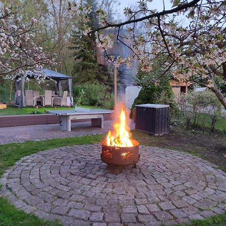 Grosszuegige Ferienwohnung Am Waldesrand Im Seenland Lauta Ngoại thất bức ảnh