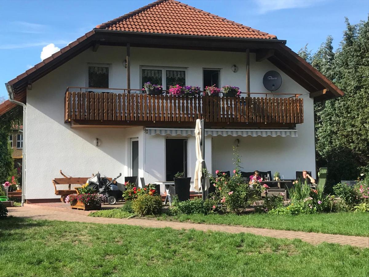 Grosszuegige Ferienwohnung Am Waldesrand Im Seenland Lauta Ngoại thất bức ảnh